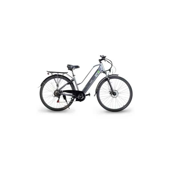 Electric moving green Queen City E-Bike 28 Zoll