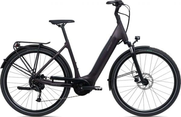 Giant DailyTour E+ 3 E-Bike Grau Modell 2022