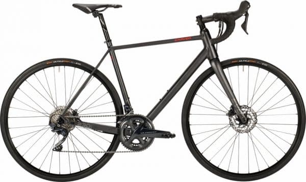 Carver Evolution 230 Disc Rennrad Grau Modell 2022