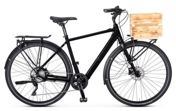 Rabeneick TC-E C Disc E-Bike Schwarz Modell 2020