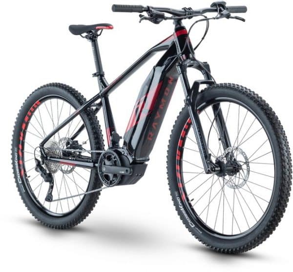 Raymon HardRay E 6.0 E-Bike Grau Modell 2022