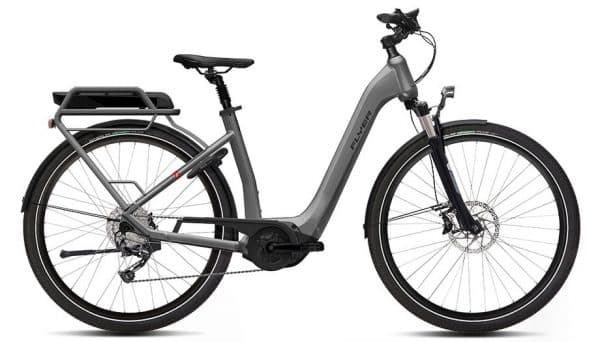 Flyer Gotour2 5.10 E-Bike Silber Modell 2019