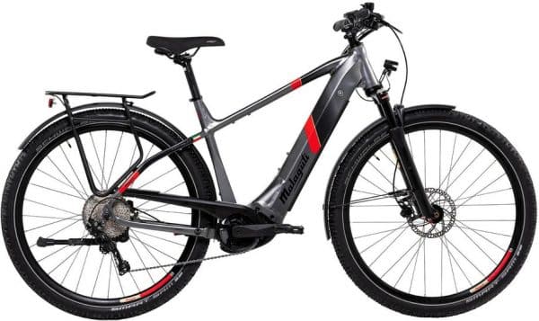 Malaguti Cortina TR 5.1 E-Bike Grau Modell 2022