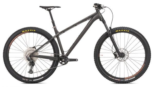 NS Bikes Eccentric Alu 29 Mountainbike Schwarz Modell 2022